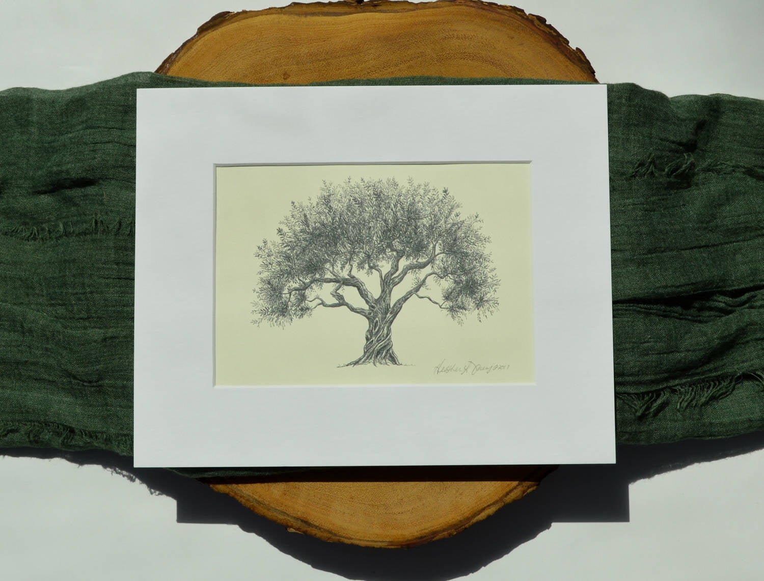 Olive Tree Pen and Ink Drawing - Fine Art Print by Heather L